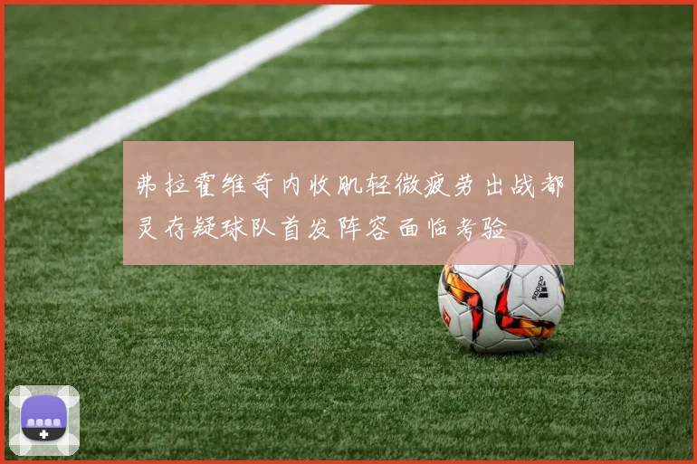 弗拉霍维奇内收肌轻微疲劳出战都灵存疑球队首发阵容面临考验