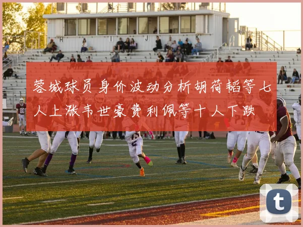 蓉城球员身价波动分析胡荷韬等七人上涨韦世豪费利佩等十人下跌